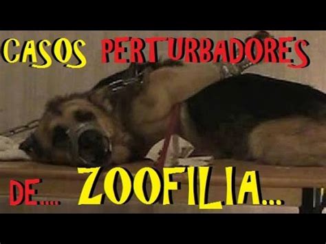 zoofilia porno|Zoo Sex